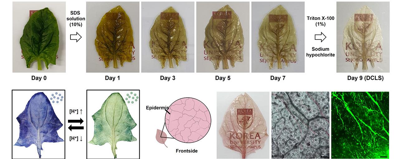 논문 관련 내용